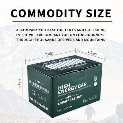 High Energy Bar 120g x 12pcs (1 Box) - Exp. Date April 2045 - SALTY