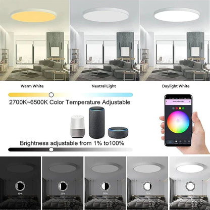 Tuya Wifi Smart Ceiling Light Led Bulb RGBCW 24W Dimmable Light Smart Life Remote Control Works With Alexa Google Home