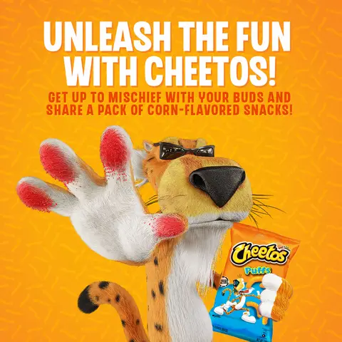 1 CASE - Cheetos Corn Puffs Cheese Flavored Snack 220g x 10