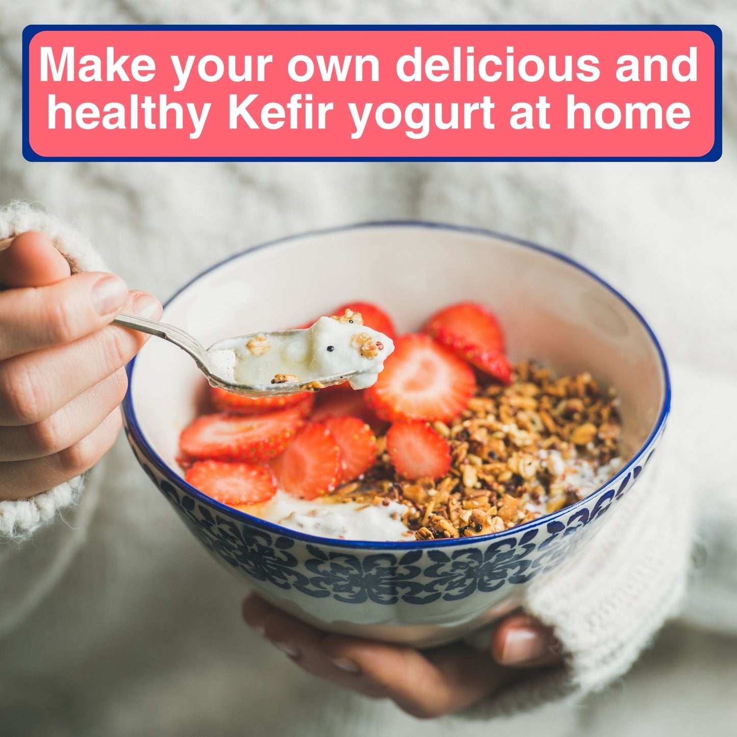 DIETARY FIBER + Japanese ORIGINAL KEFIR STARTER CULTURE (thick, yogurt-style) 12 SACHETS IN 1 POUCH - 1 sachet makes 1 liter