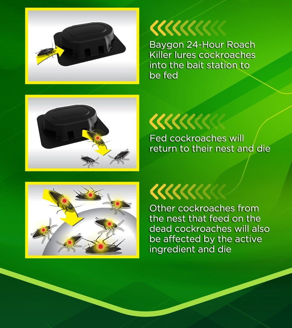 Baygon 24-Hour Cockroach Killer 6's - Pack of 3 Safe to Use in sensitive Places