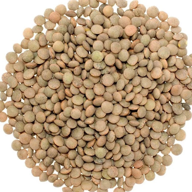 EASYCOOK LENTILS 400G x 30 (PROTEIN & FIBER)